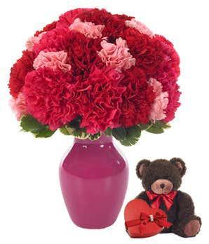 Sweet Carnations with Bear and Chocolates